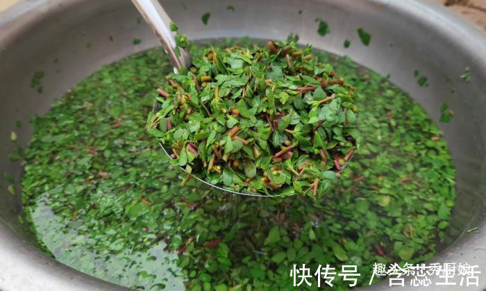 手软|夏天,碰到此菜别手软,一次囤上20斤,晒干储存起来,冬天吃特香