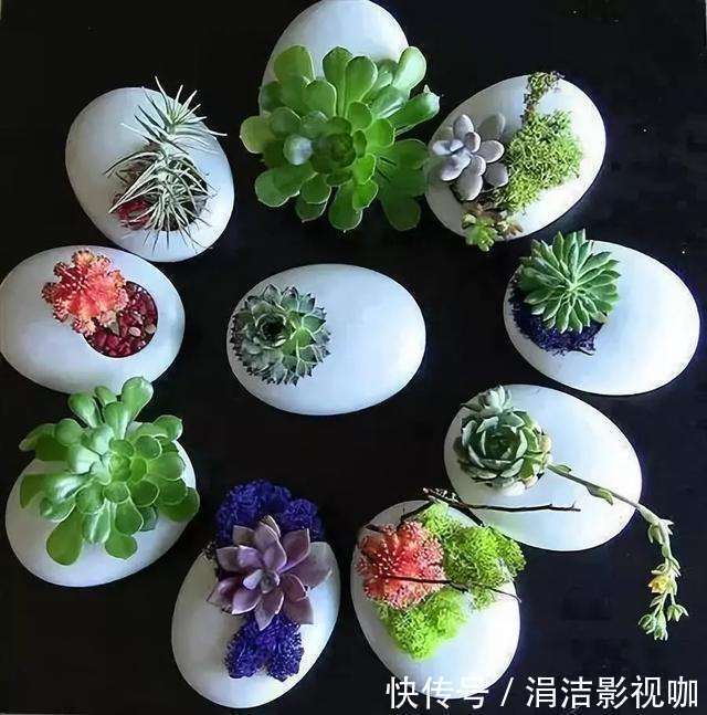 她从不买“花盆”，种出来的花却美的让人称赞，朋友都来向她学习