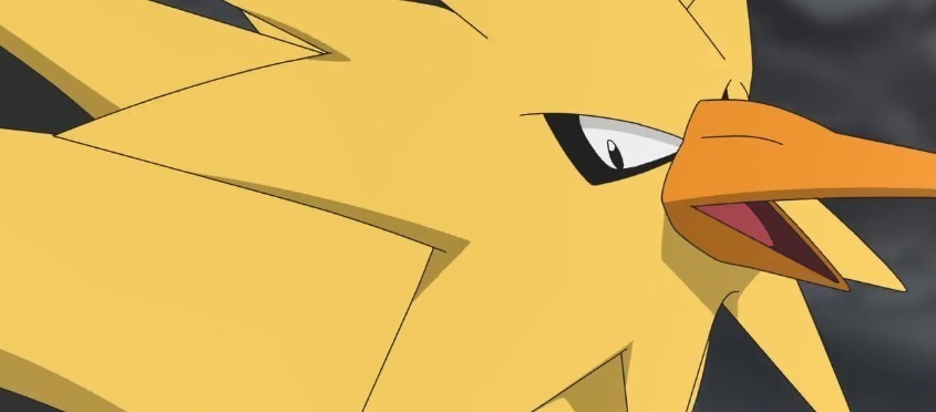 收服|宝可梦旅途闪电鸟给予小豪一个眼神,暗示后续再登场让他收服