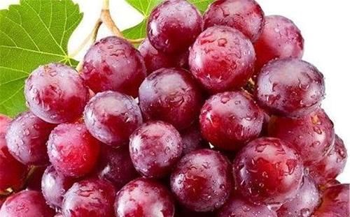 食疗养生很重要，坚持吃的食物，软化血管、活血化淤，吃了更年轻