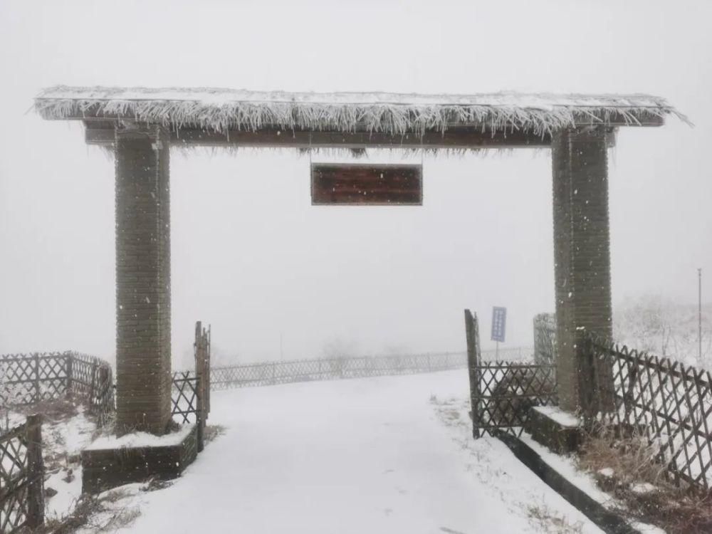 雪景|丽水这些地方下雪了，美炸了~最新雪景美图，请签收