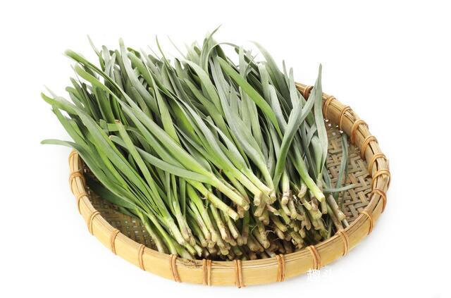 宽叶|买韭菜时，挑选宽叶还是窄叶的菜农别挑错了，难吃还浪费钱