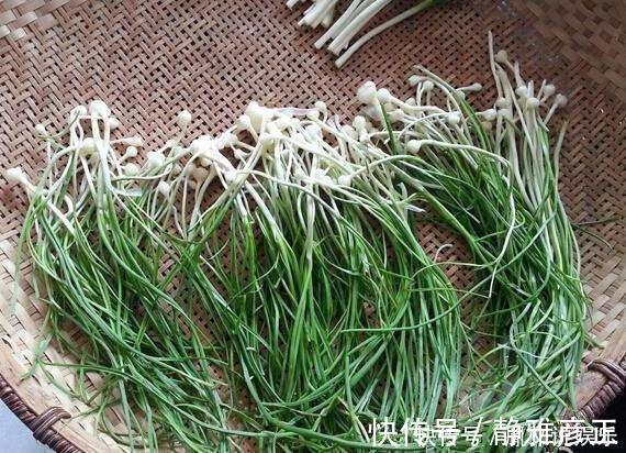 常吃|城里人特别喜欢吃的几种野菜,花钱都很难找到,农村人却常吃