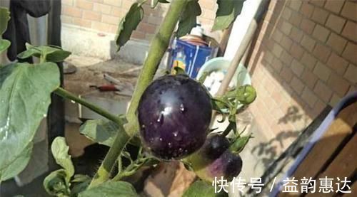 美白|每天可以坚持吃3种食物,排毒瘦身,美白皮肤,越吃越年轻!