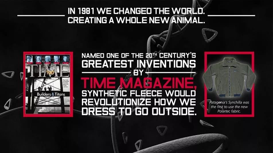  解析|干货解析，选哪种「绒」才能让人扑到你的怀里？