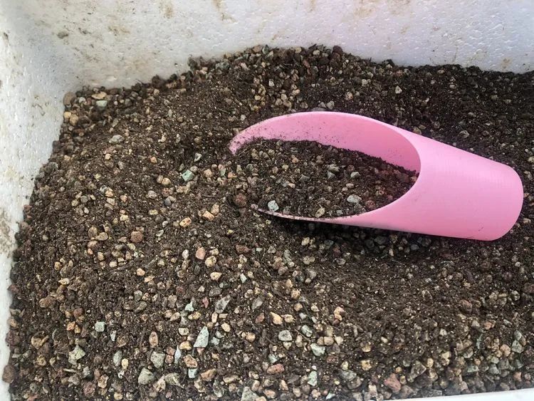 多肉小白三年励志对比养自己的花,爱自己的宇宙!