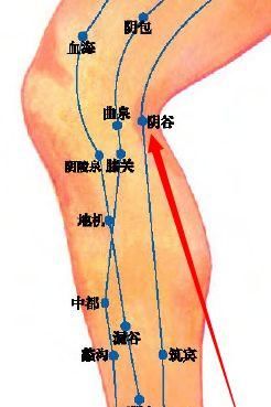  学习|朱丹溪“平衡阴阳”的方子！三味药，了却盗汗耳鸣，值得后世学习