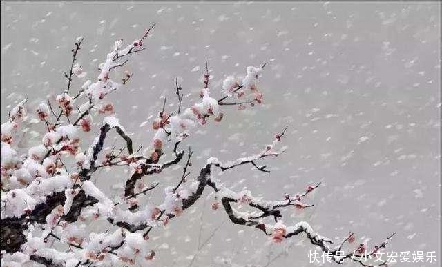 朱楼#宋朝才女的一首词,意境悠远,纳兰性德也曾经化用其中一句