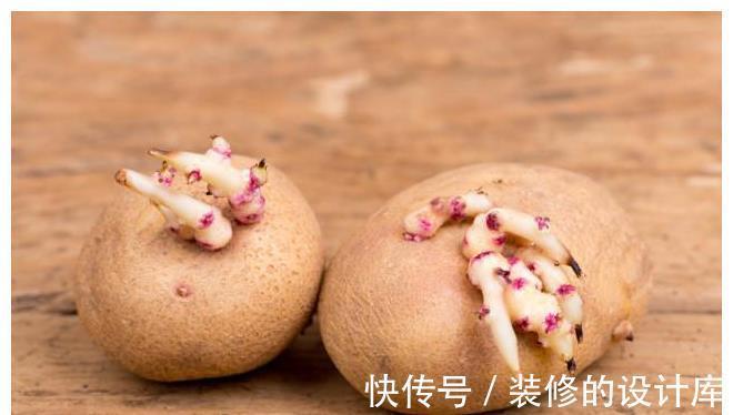 好吃|土豆保存有技巧,学会1个方法,土豆能存放一年,新鲜好吃不破皮