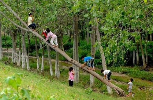 厉害|在农村能考上二本的同学,算是什么水平?是真的很厉害吗?