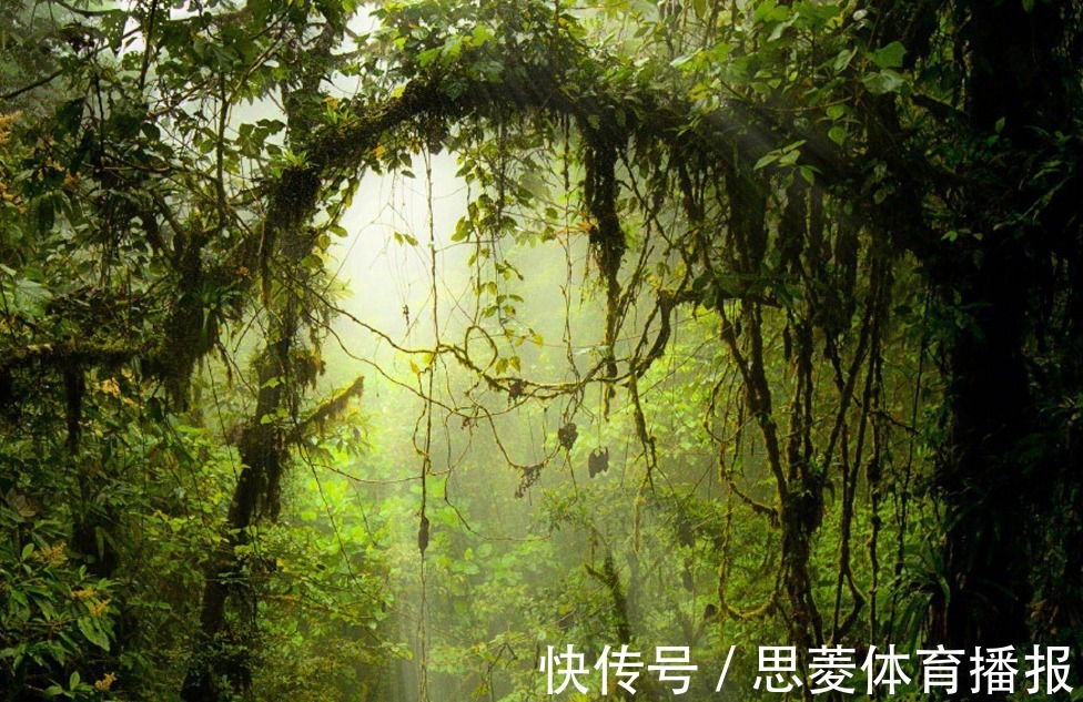 官复原职!袁天罡:“王”字少一笔,你会先想到什么字?不同字有不同的人生