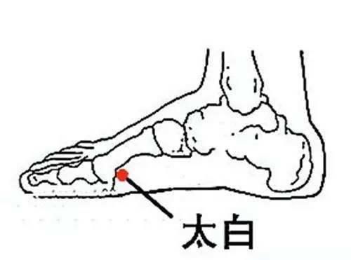 脾经|脾，后天之本！老中医带你品味人体脾经大药！补脾通络，胜吃补药
