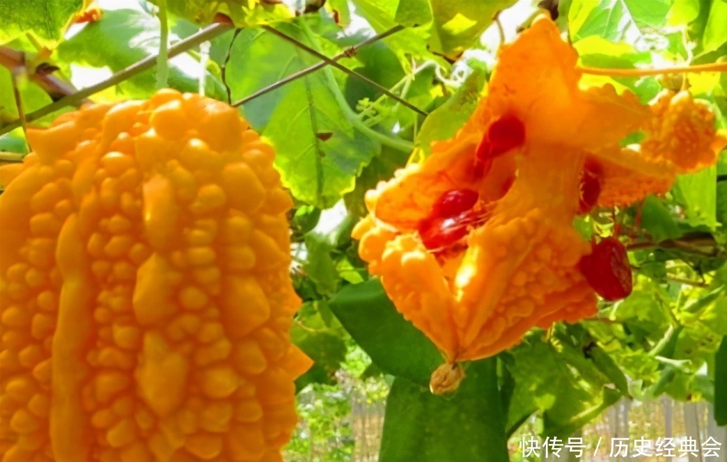 很有营养的3种食物,值得天天吃,排毒养颜、改善体质