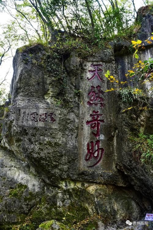 冬游记丨登东山寺，听蝉音鸟鸣