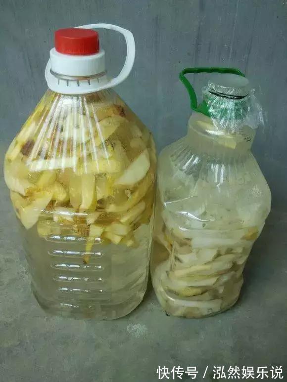 松软|盆土板结别着急,插根吸管倒点酒,松软又透气!