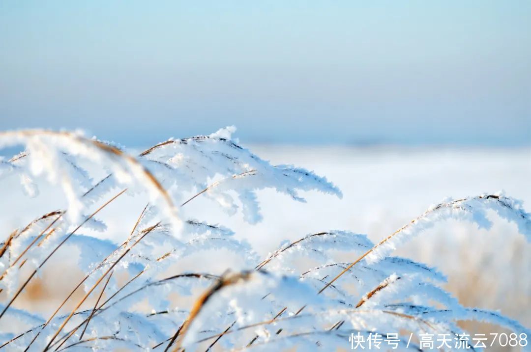 新韵|七绝《琴瑟应景鸣》新韵