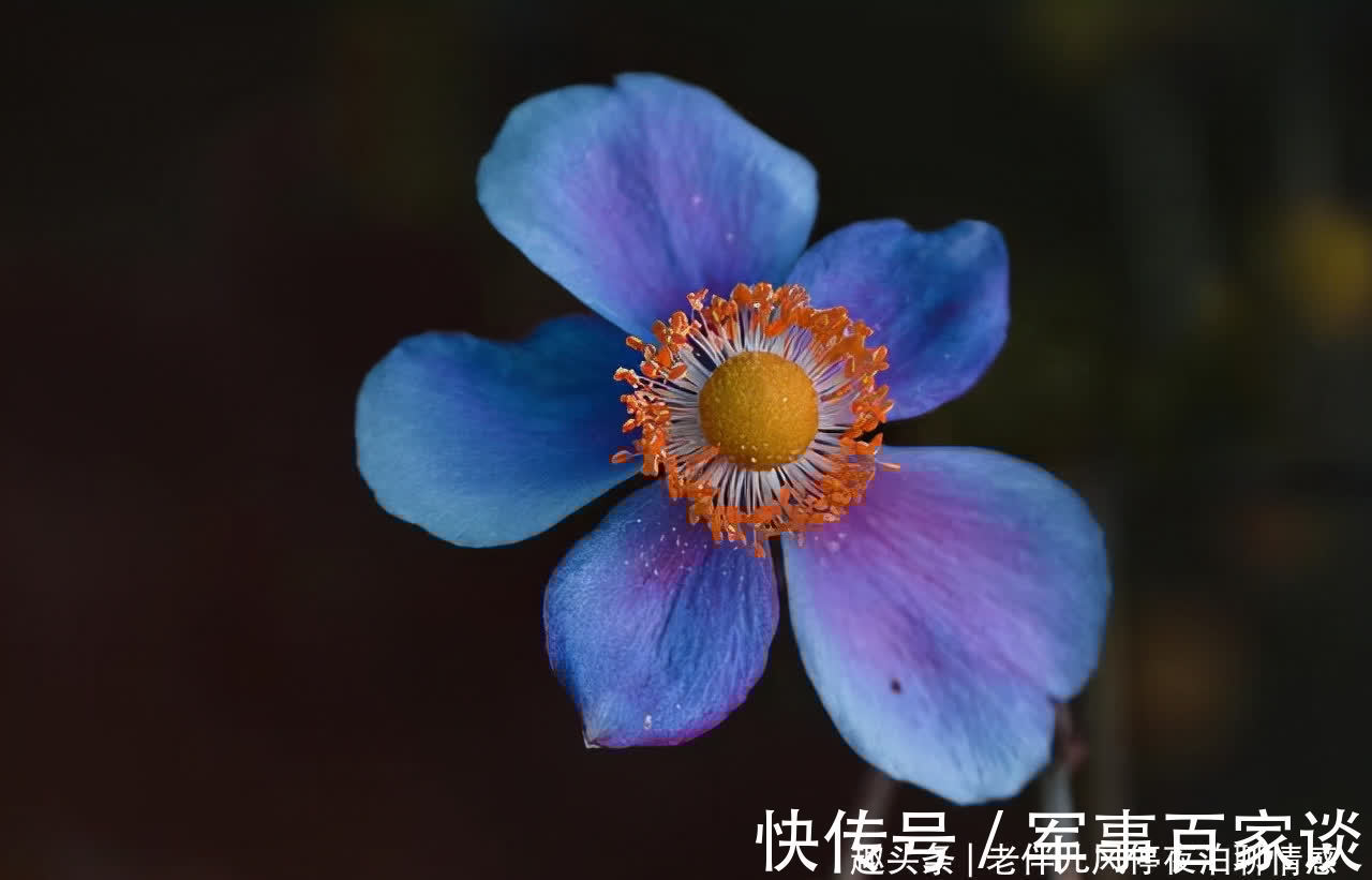 心态|熬过人生4大坎，必成大器！早懂早受益