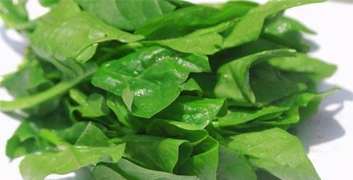 蘑菇|会吃的人最健康,常吃三种食物,消肿解毒,增强体质,好处多多