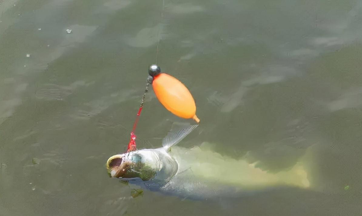 钓组的主线和子线，搭配起来并不难，参照这几条，保证不切线