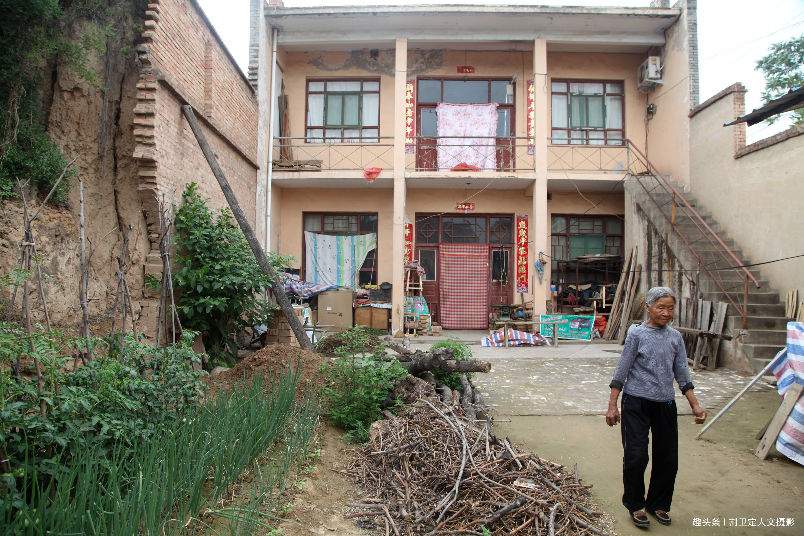 大人参|鸟粪落入8旬老人家中,长出大人参有人说价值10万,看是啥样