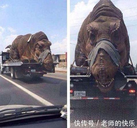 |搞笑趣图段子：妹子把筷子当吸管？