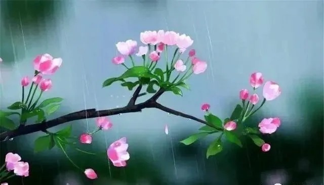 婉约$苏轼的一首词,违背了科学,却被世人普遍认可,意境妙不可言