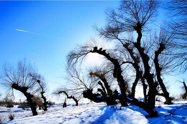 “北国雪原”宝古图沙漠