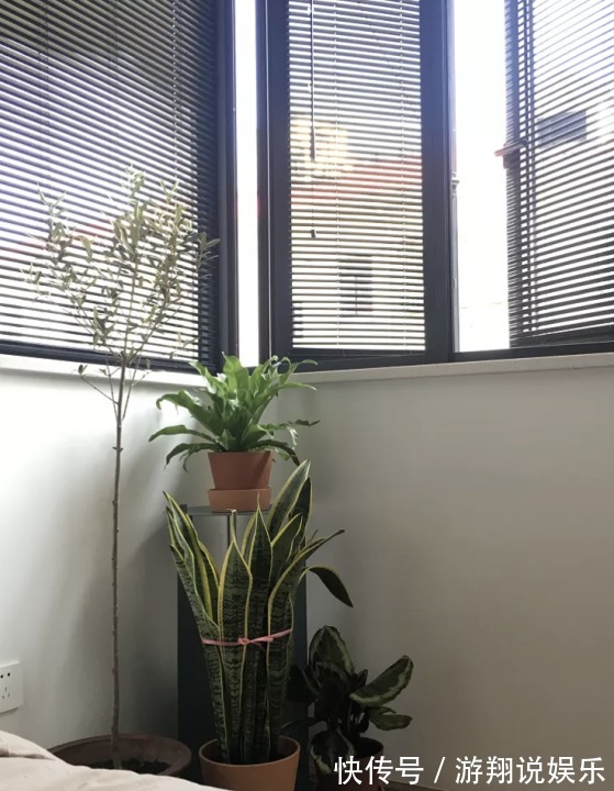 小房子|小户型要这么装，24㎡玄关秒变厨房和洗衣房，收纳翻倍方便实用！