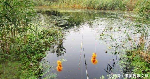 拉饵|钓鱼技巧:“水拉饵”是个什么饵料?是如何搭配使用的?