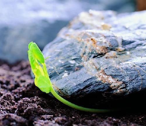 身边|小人潜伏在你身边你都不知道吧,这才是古人所说的谦谦君子