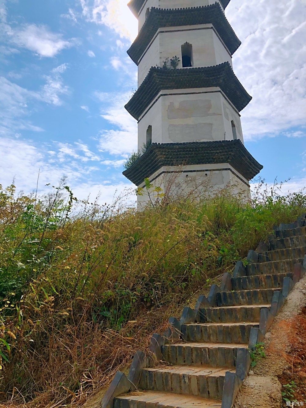 灿烂|晴空万里，鲜花灿烂