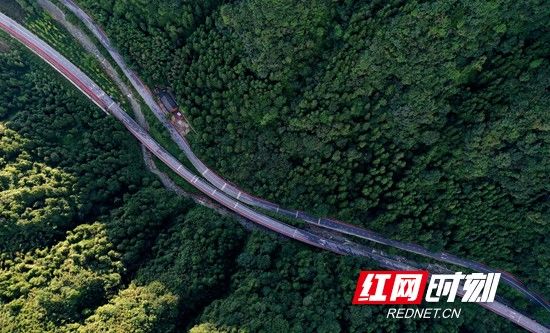 生态|武陵源区推出国内首条峰林峡谷生态马拉松赛道