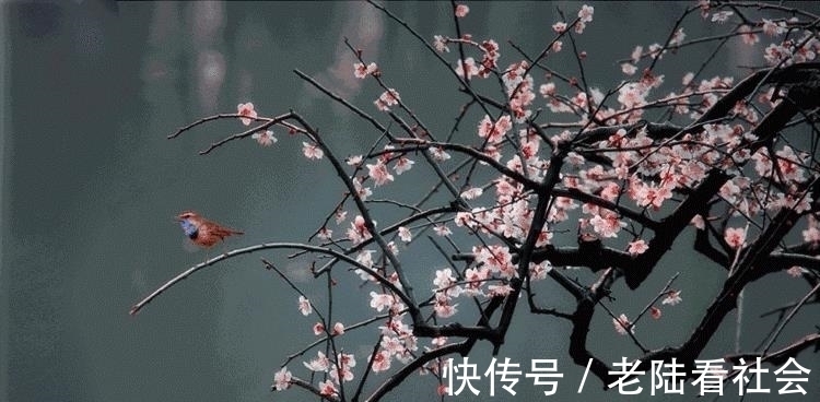 长相思&他终生不娶,却用一首词将爱情写到刻骨铭心,读一次感动一回!