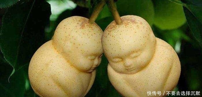 取经|《西游记》取经团队碰上了两宗赔偿案,最后洒下热泪的却总是观音