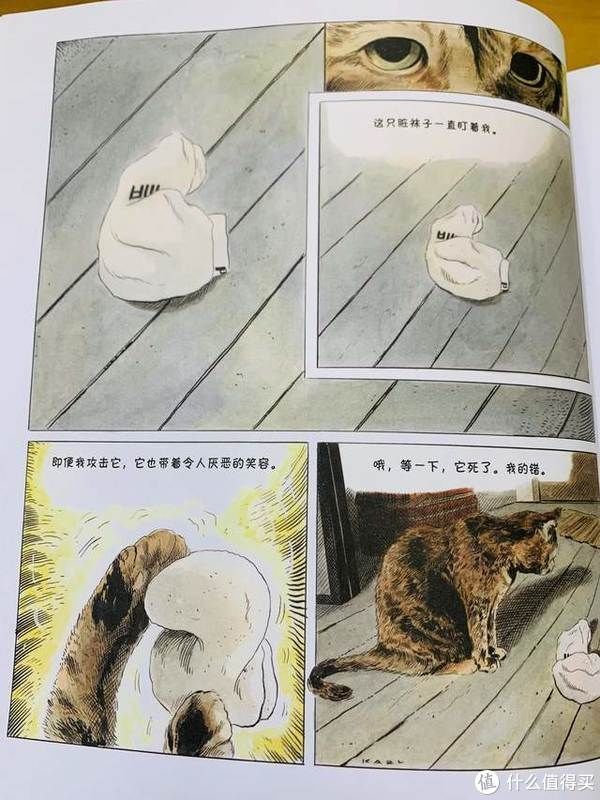 猫生|爆笑治愈的猫生漫画,你不是猫,你怎么知道猫怎么想?