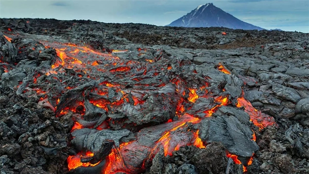 市卫生健康委员会