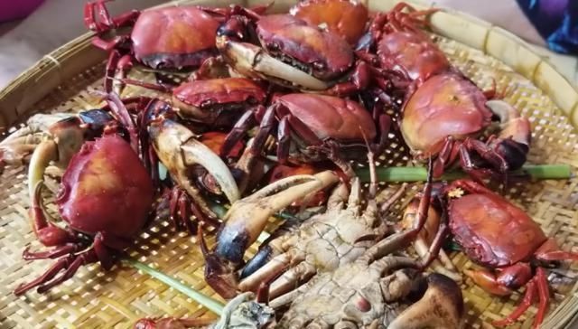 类溪蟹|大妈背着篓子卖它,没人看得上,我花50全包了,一吃“惊喜满满”