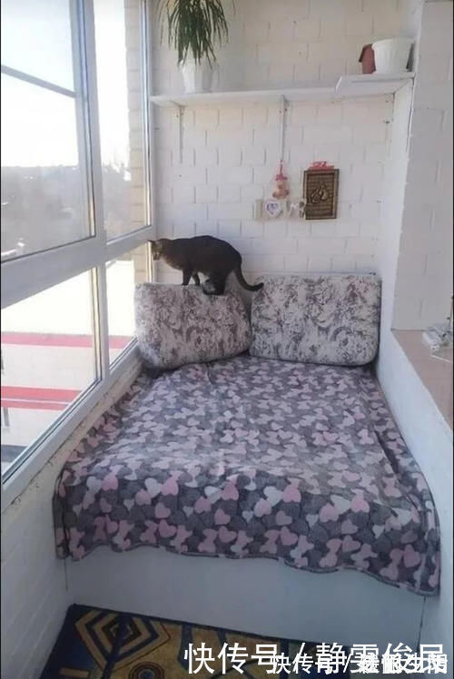 收纳|阳台别打卡座了,装个木柜床能装又能躺,还能当间房多实用!