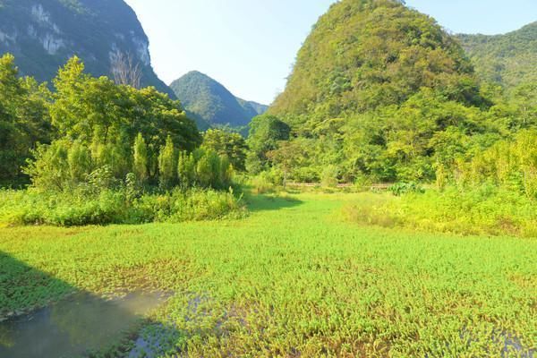 景区|它是地球腰带上最后一块绿宝石，也是世界最美自然遗产，它的名字叫小七孔