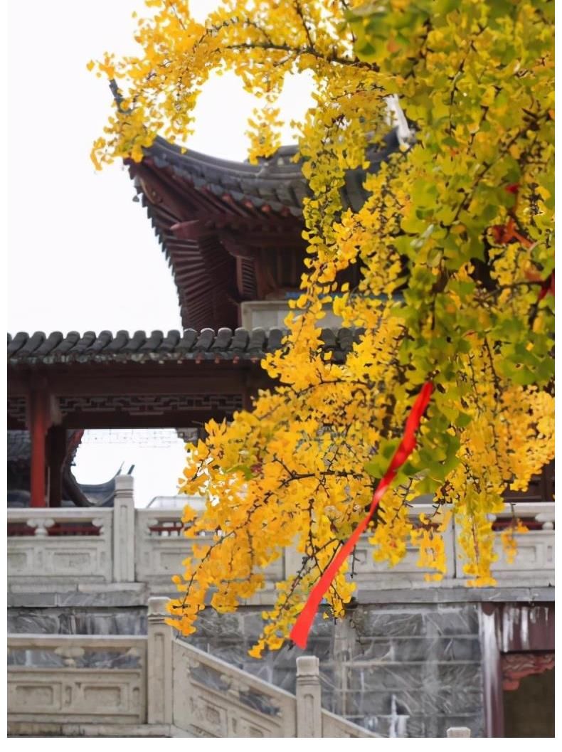 中国佛教|南京一座低调的古寺，藏着3000尊佛像，门票15元却无人前去