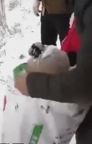 “南方人穿拖鞋到东北旅游?!”哈哈哈哈哈哈哈哈哈