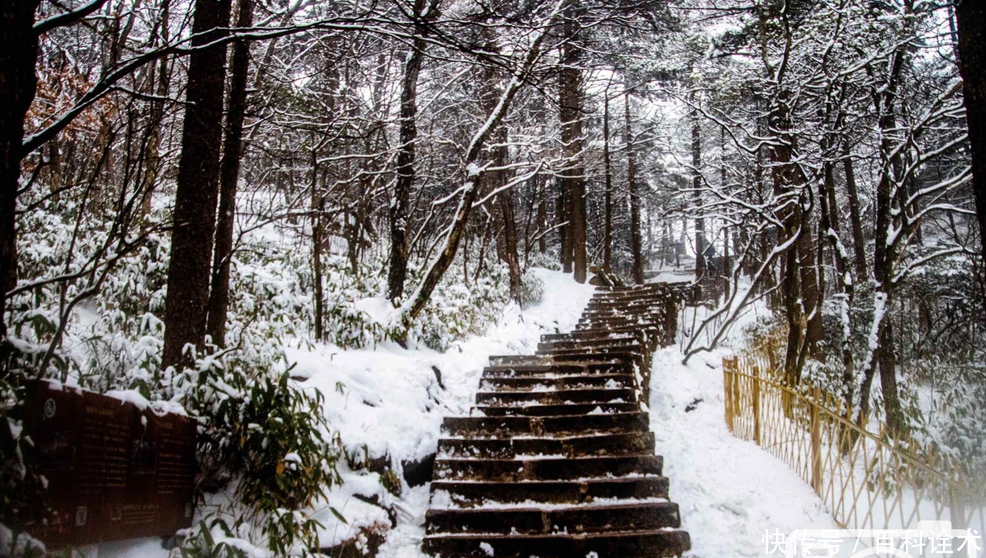 山区面积1200平方千米，中华十大名山之一，冬日黄山白雪茫茫