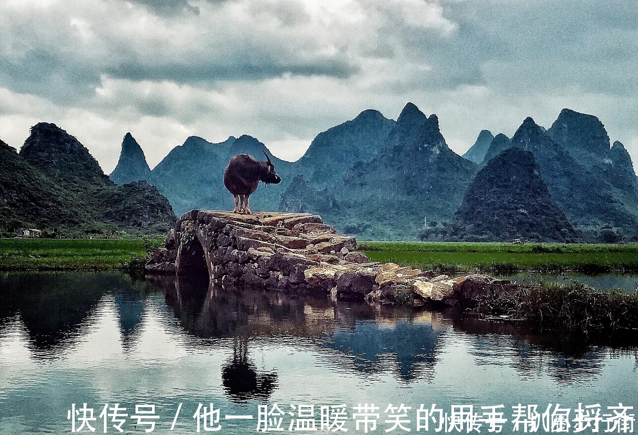 绝句$一代宗师叶嘉莹绝句30首。词心独具无人及,一卷长留万古芳