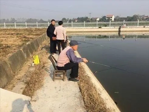 瑟瑟发抖|冬钓鲫鱼，老手遇“三种天气”不会下钓，钓也是白钓