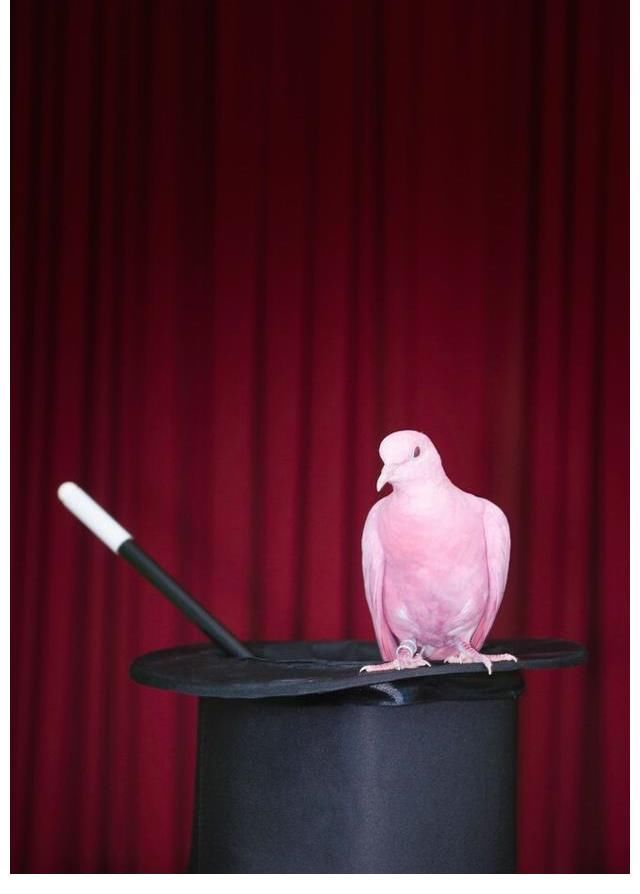 晚會|談晚會編導(dǎo)對魔術(shù)節(jié)目“度”的把握和表現(xiàn)