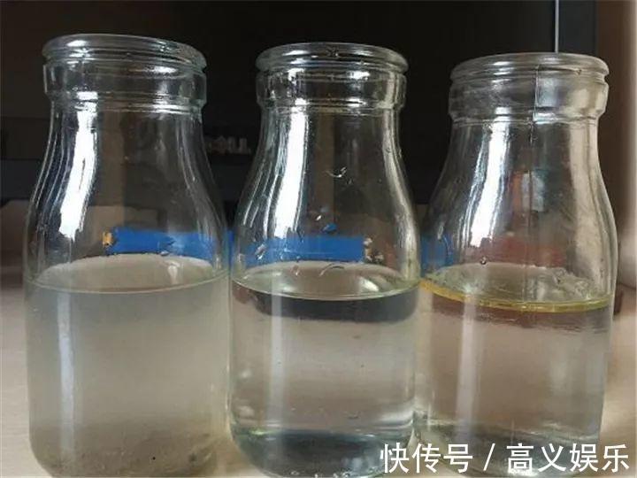 水杨酸|8种自制生根剂,扦插前抹一抹,白根冒的又快又多!