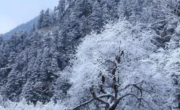 探秘幽深的历史隧道，重现风雨砥砺的传奇——阴平古道