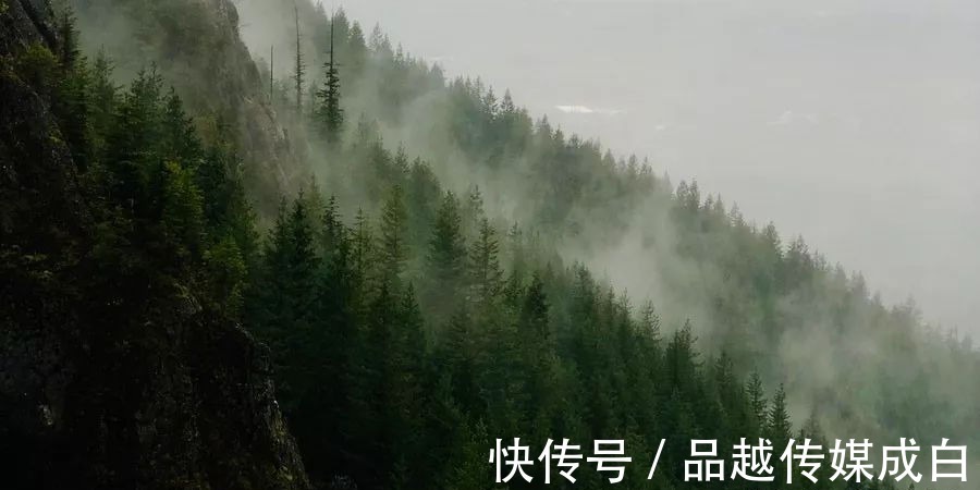 重情重义|一个小小的细节，会暴露了最真实的人