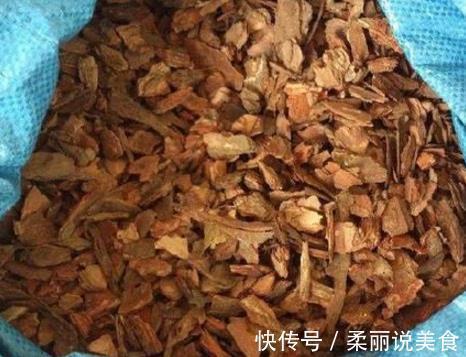 养花|2种“料”埋在虎皮兰盆里,20天冒出小芽,叶片“坚挺”,爆盆