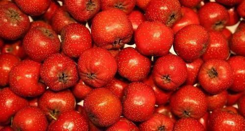 它是祛湿的“良药”，每天吃一点，湿气排空了，体重也降下来